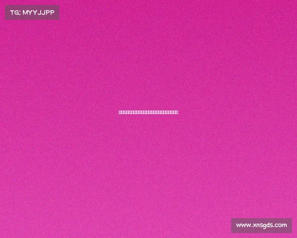 洛杉矶湖人未来重建之路：明星球员与新星的完美融合